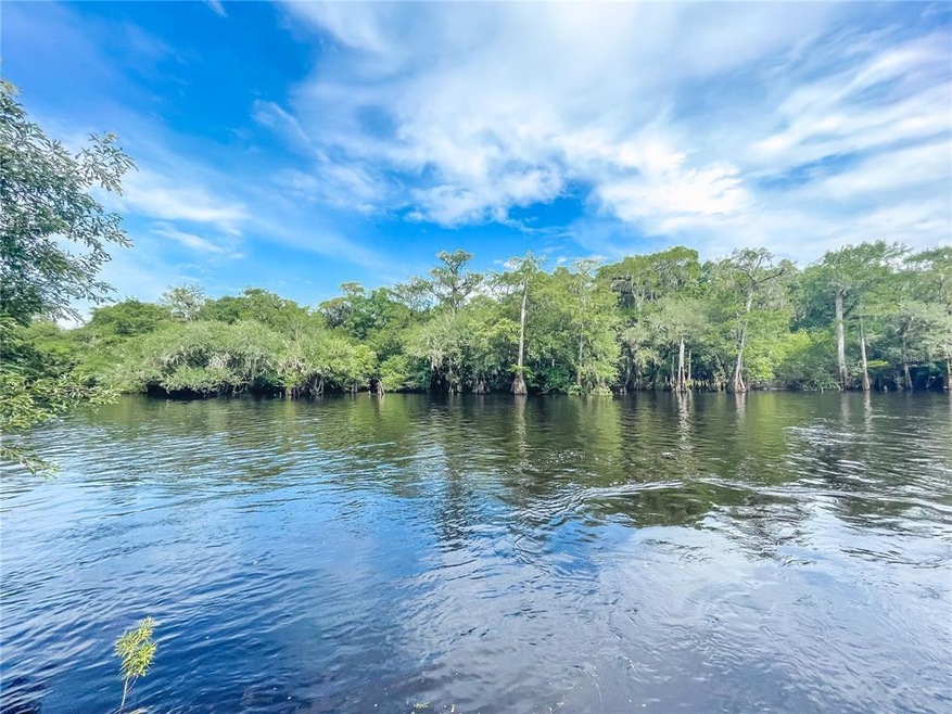 600 SW Santa fe Dr, Fort White, FL 32038 - photo 1