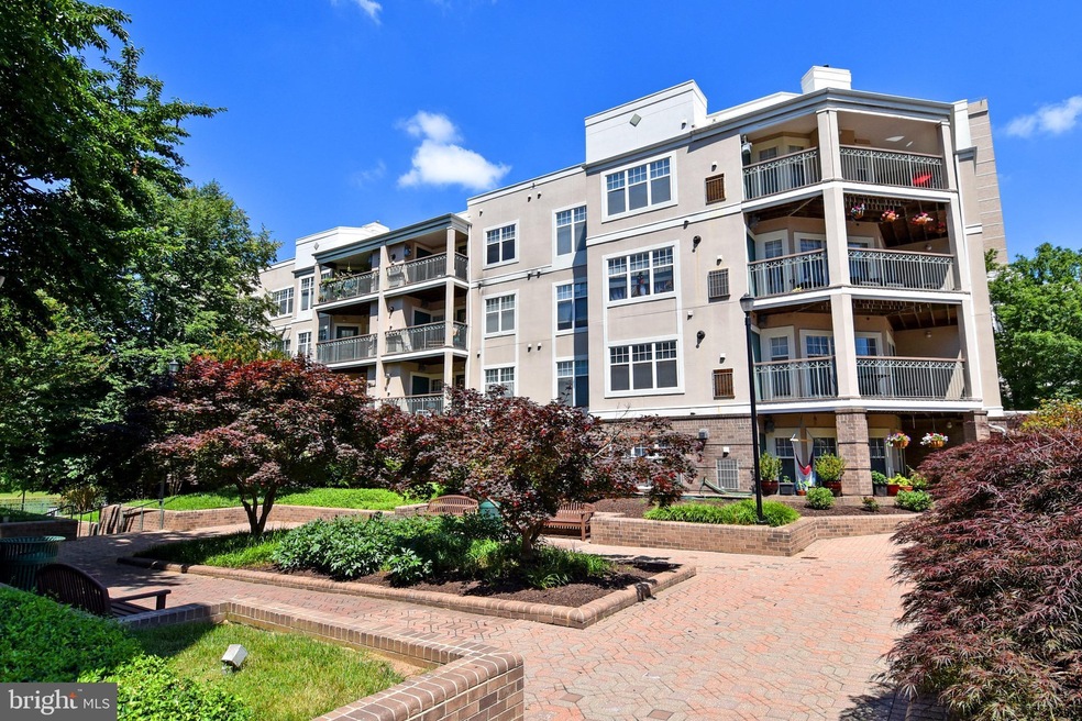 5573 Seminary Rd unit 303, Baileys Crossroads, VA 22041 - photo 1