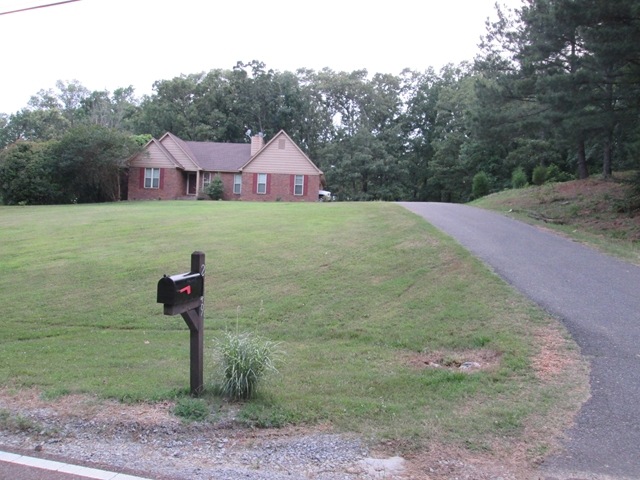 Main View