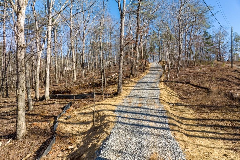 LT 41 White Oak Dr, Ellijay, GA 30540 - photo 1