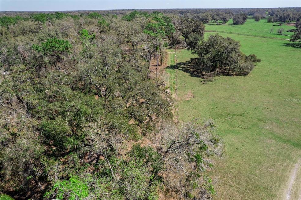 TBD S Us 301, Webster, FL 33597 - photo 1