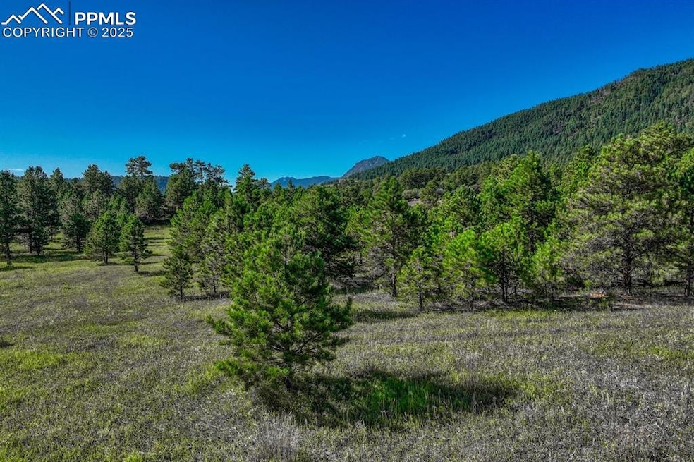 0 S Perry Park Rd unit 9483755, Larkspur, CO 80118 - photo 1