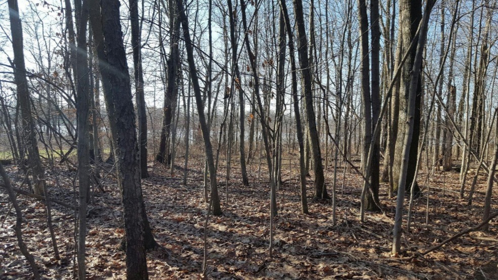 3454 4th St Hill Lk photo