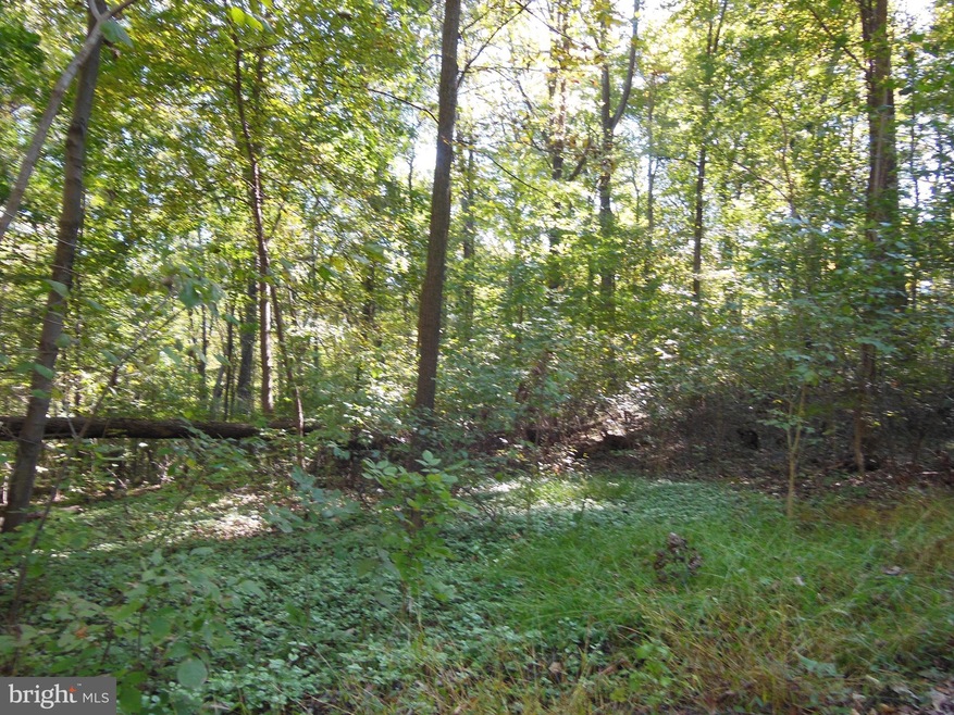 0 Shag Bark Rd unit 1009934052, Harpers Ferry, WV 25425 - photo 1