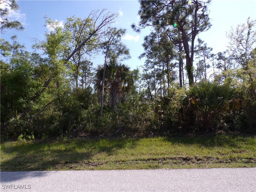 View of undeveloped land