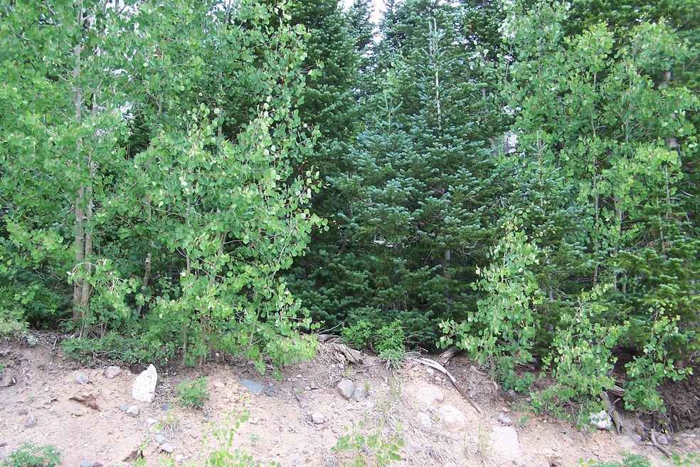Henrie Sunset Mtn Lots 004