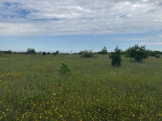 For Sale $195,000 • Co-Listing Agent
