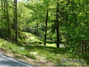 grass driveway from state road