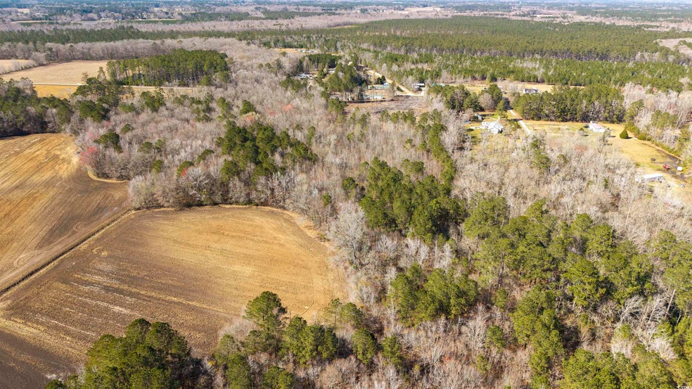 TBD Old Tram Rd, Conway, SC 29527 - photo 1