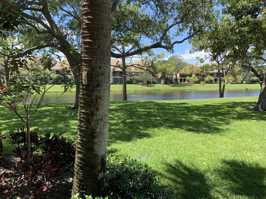 Beautiful lake view