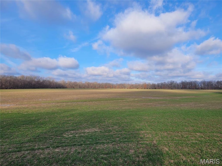 0 Bales Rd (81 8+ - Acres), Middletown, MO 63359 - photo 1