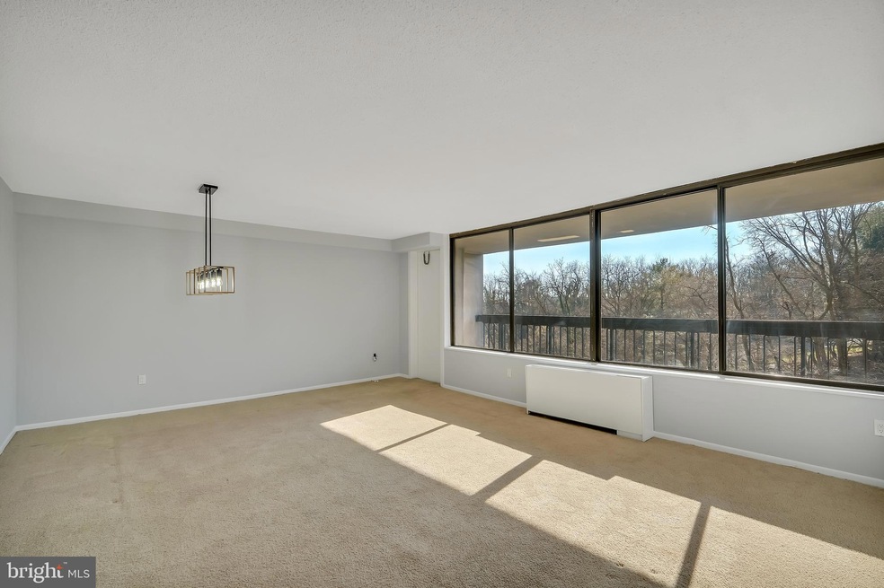 Skyline Plaza unit 310S, Baileys Crossroads, VA 22041 - photo 1