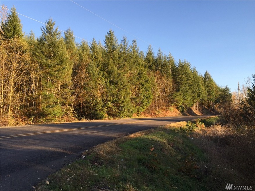 2020 394th St S, Roy, WA 98580 - photo 1