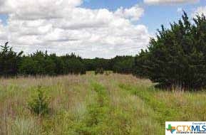 Tract 4 Harmon Ranch, Copperas Cove, TX 76522 - photo 1