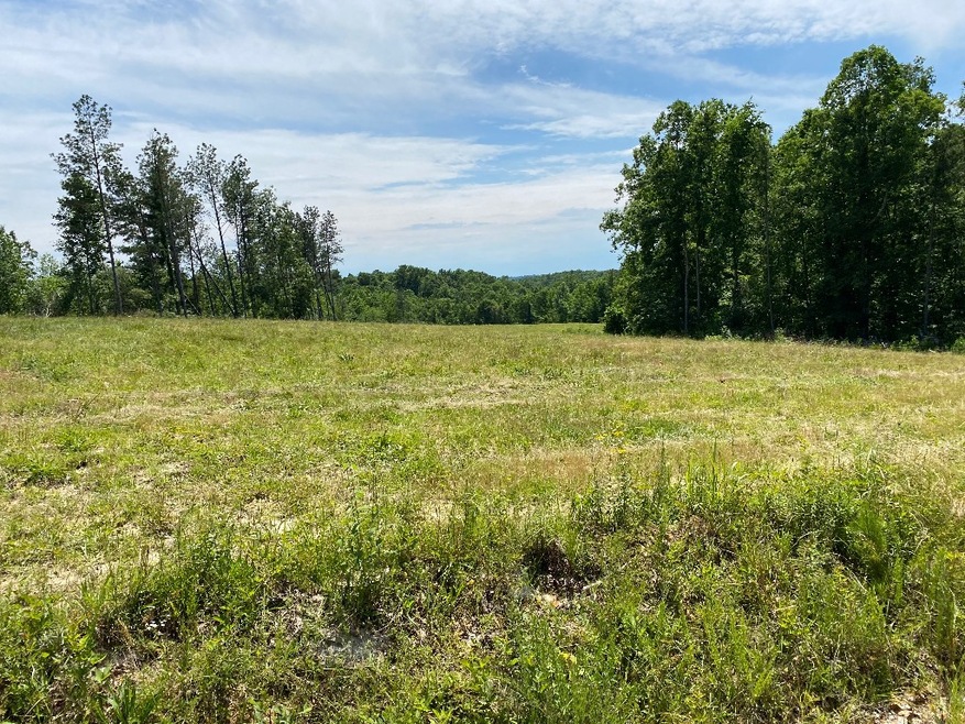 0 Mathis Cemetery Rd unit RTC2620108, Stewart, TN 37175 - photo 1