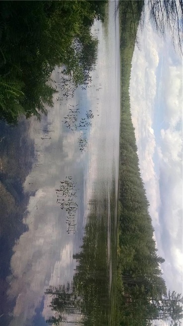 1 Webber Pond, Sweden, ME 04040 - photo 1