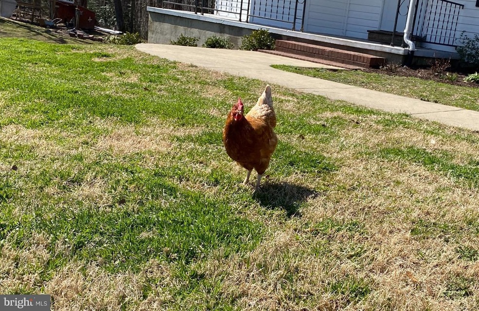 345 Terrace Dr, Prince Frederick, MD 20678 - photo 1