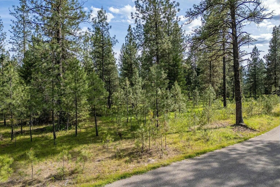 LOT 22 Couples Ct, Chewelah, WA 99109 - photo 1
