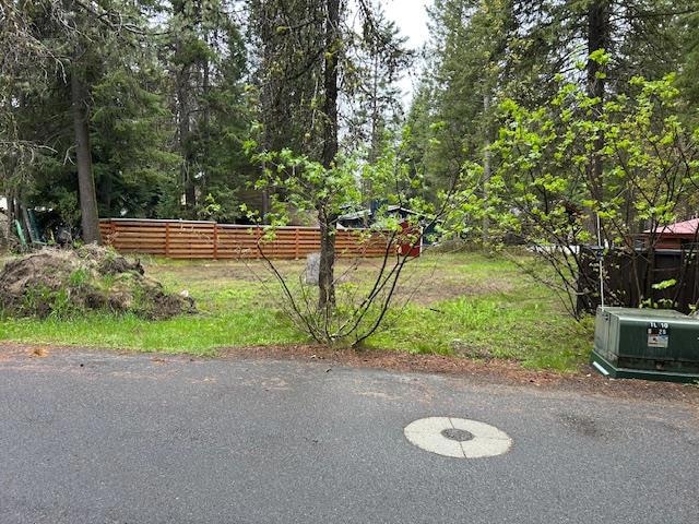 Main View