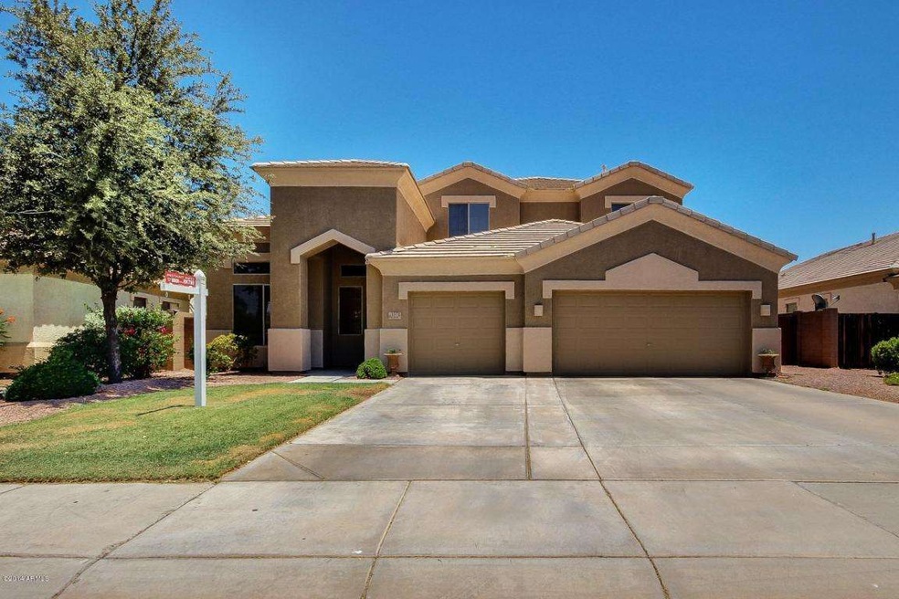 Canyon Oak-1