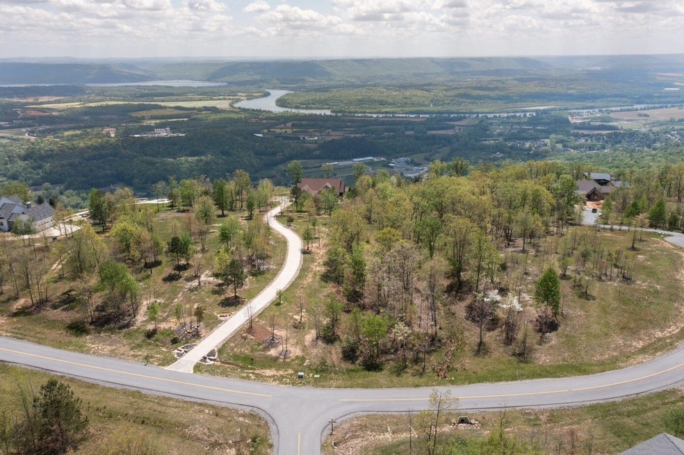 0 Bear Crawl Rd unit RTC2718596, Jasper, TN 37347 - photo 1