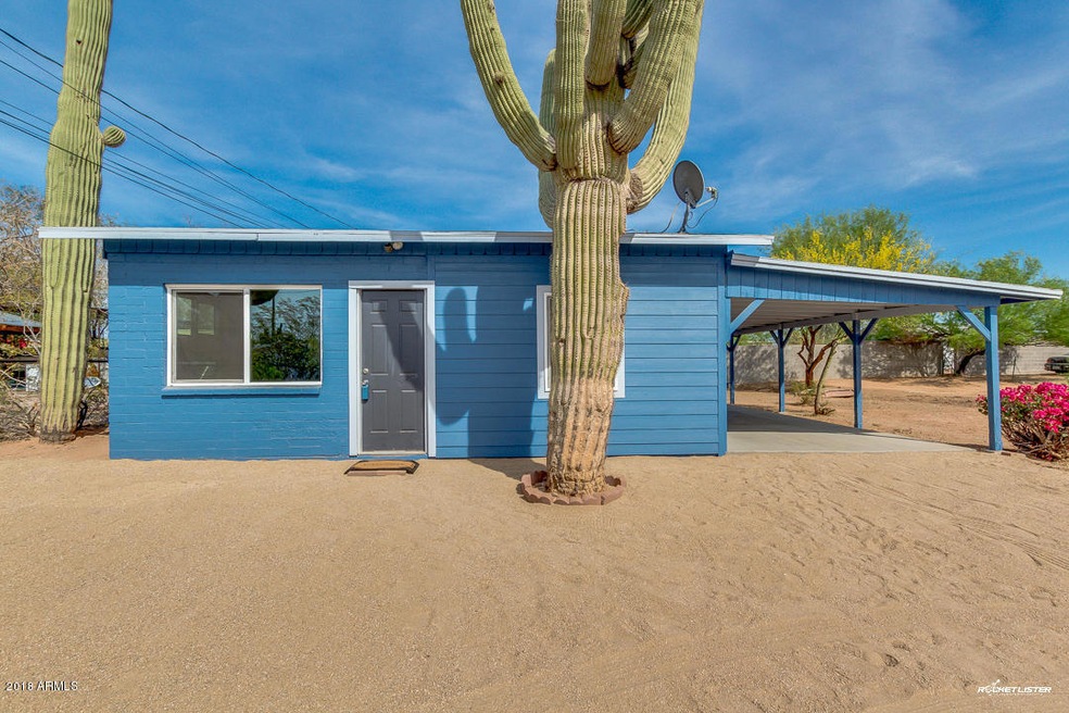 01-Palo Verde