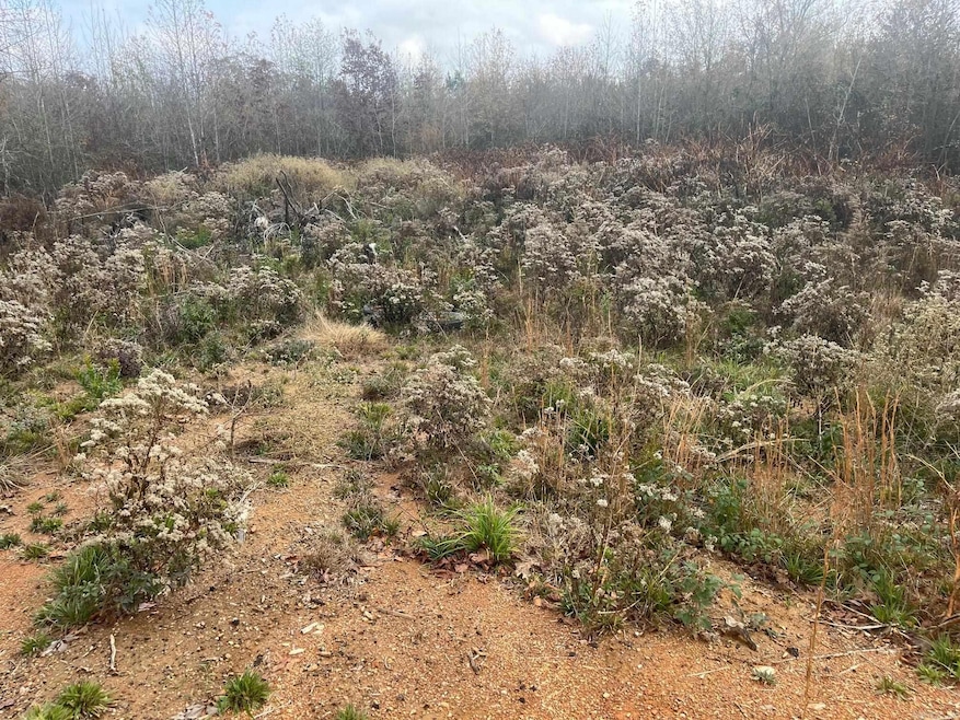 7112 Cold Creek Dr, Alexander, AR 72002 - photo 1