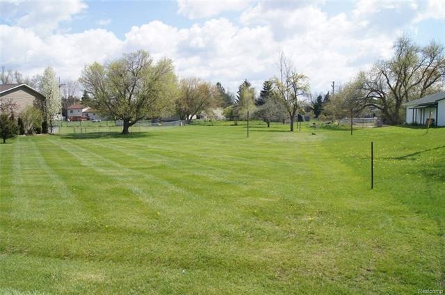 Lot 6