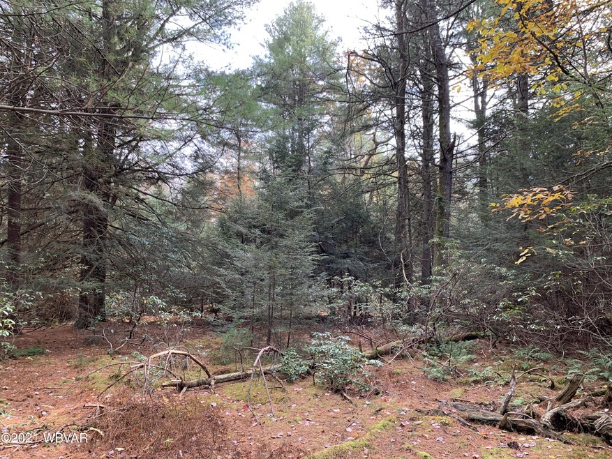 14123 Coudersport Pike, Lock Haven, PA 17745 - photo 1