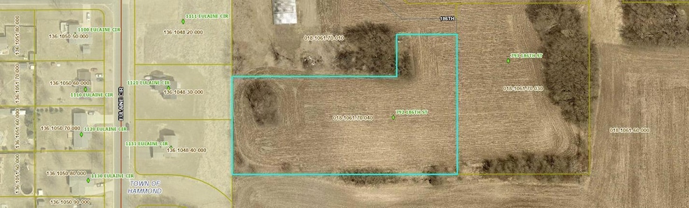 792 186th St, Hammond, WI 54015 - photo 1