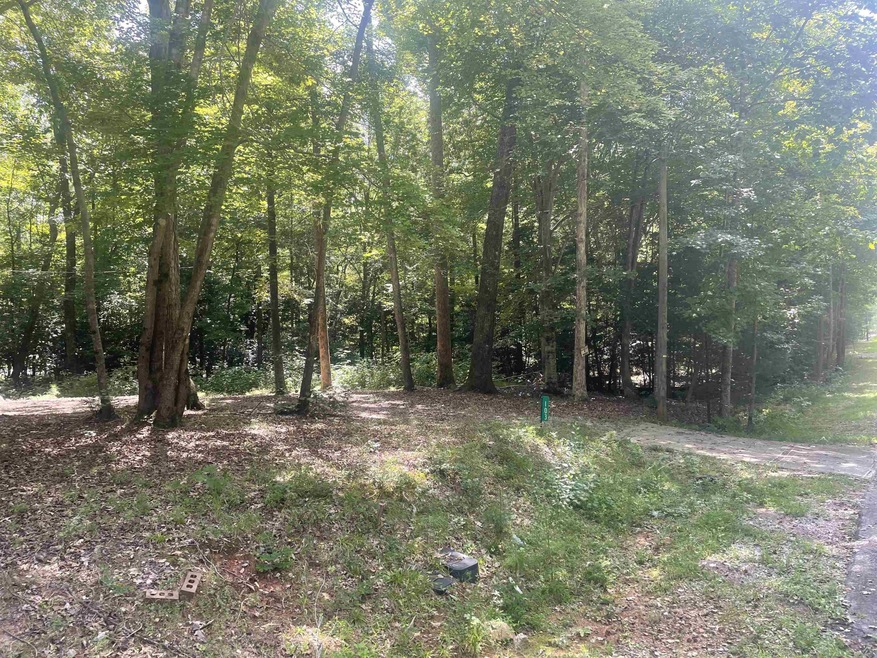 103 Chama Dr, Louisburg, NC 27549 - photo 1