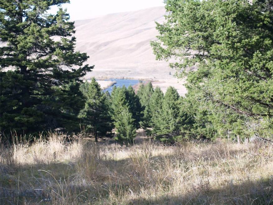 View of Madison River
