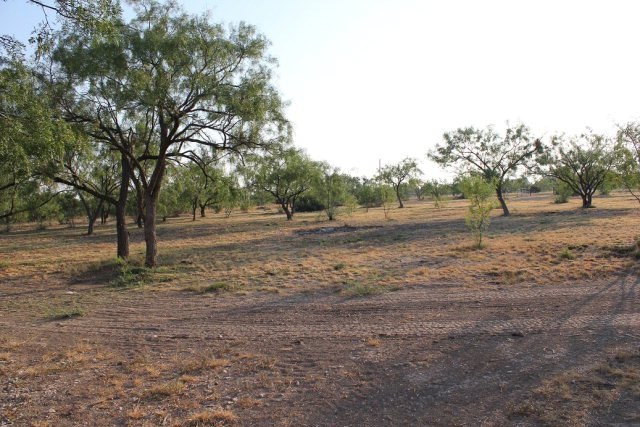 12165 Pecan Ln unit Tr 28, San Angelo, TX 76904 - photo 1