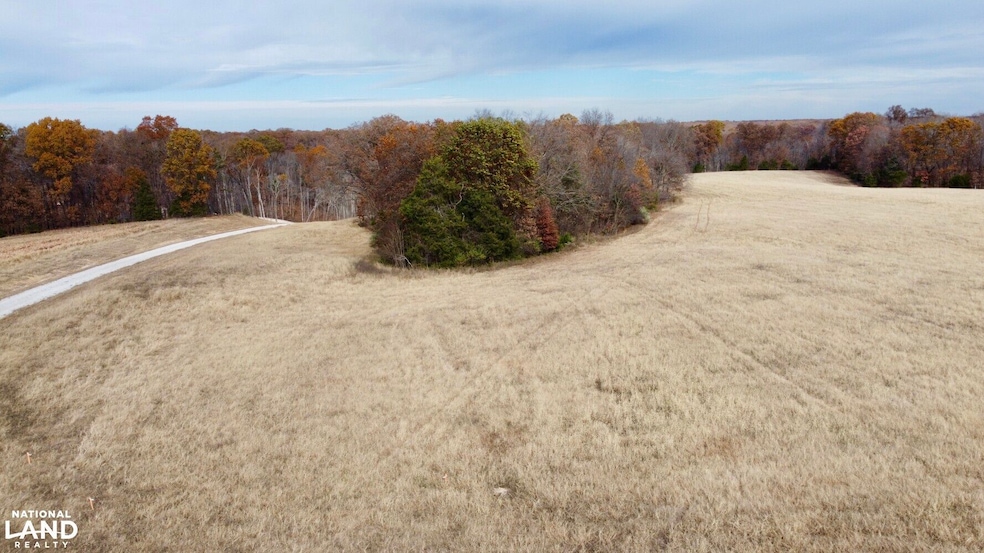 0000 Polston Ln, Hickory Grove Township, MO 63357 - photo 1
