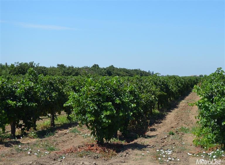 0 N Alpine Rd unit 13049632, Lodi, CA 95240 - photo 1