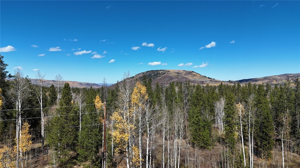View of mountain backdrop with a forest