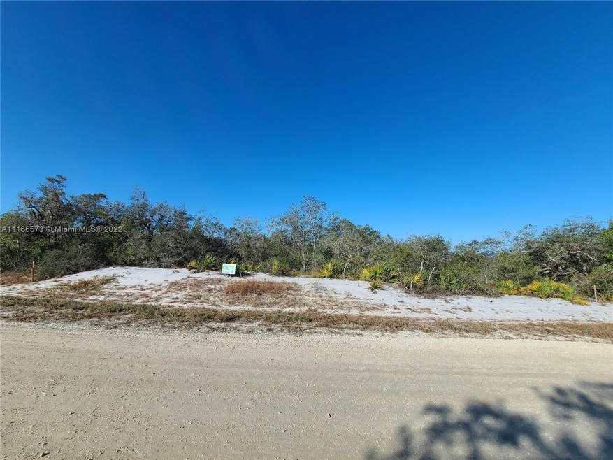 224 Lakeland Dr, Lake Placid, FL 33852 - photo 1