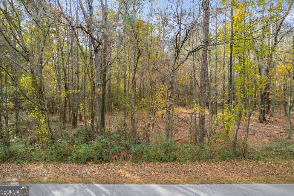 0 Martin Cemetery Rd unit 1B 10225730, Carrollton, GA 30117 - photo 1