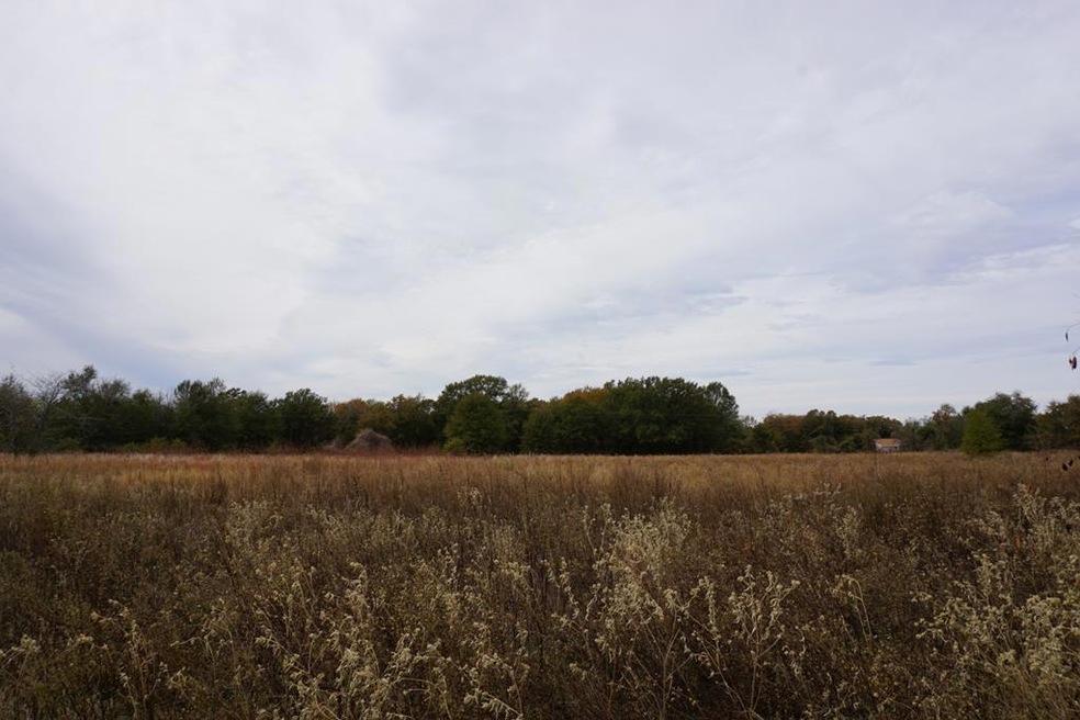 01 Cr 1316, Malakoff, TX 75148 - photo 1