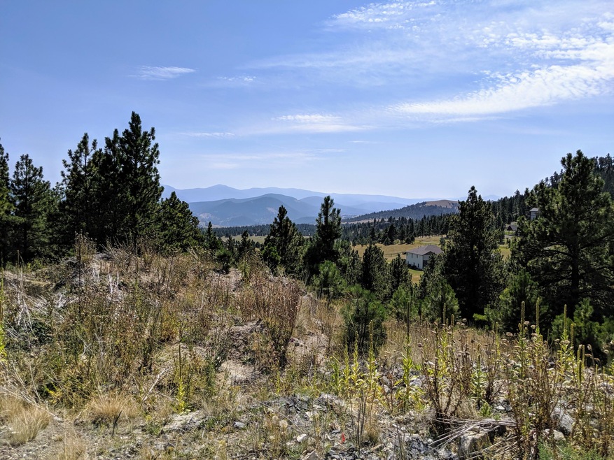 IMG_20190905_125011