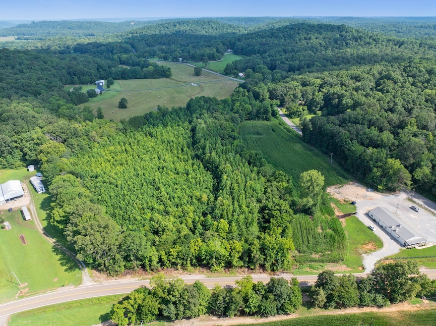 0 Highway 100 unit RTC2946938, Decaturville, TN 38329 - photo 1