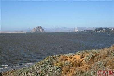 There's your bluffront view of Morro Rock