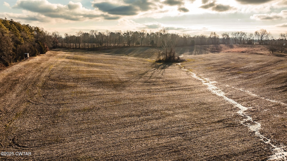 DJI_20250108084613_0006_D