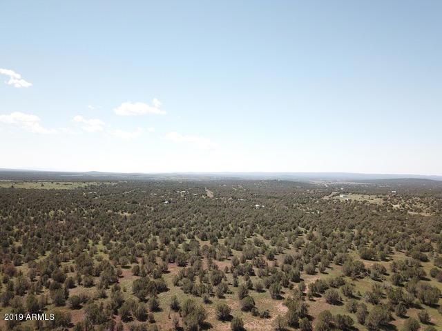 DJI_0011