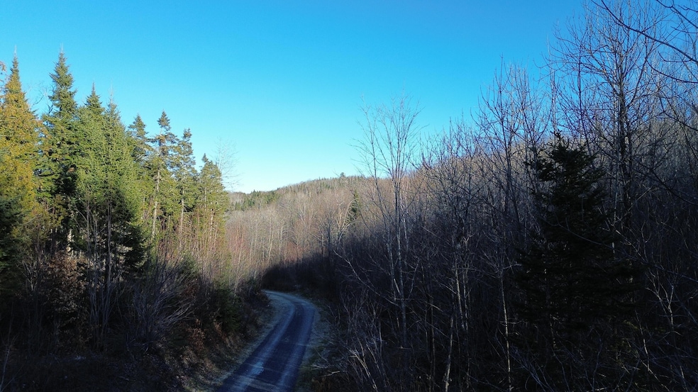M5 L46D Black Bear Ave, Upper Frenchville, ME 04745 - photo 1