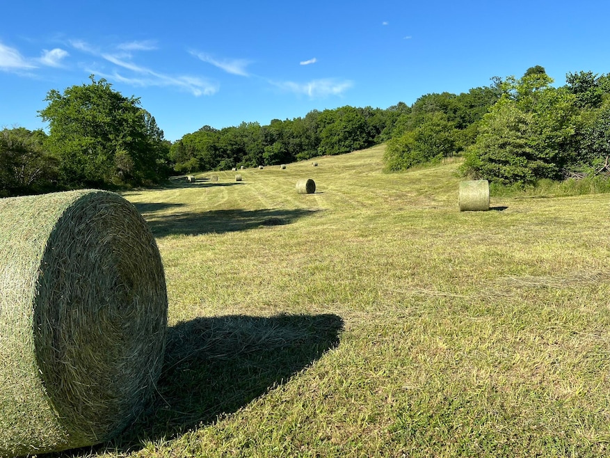Hay in field