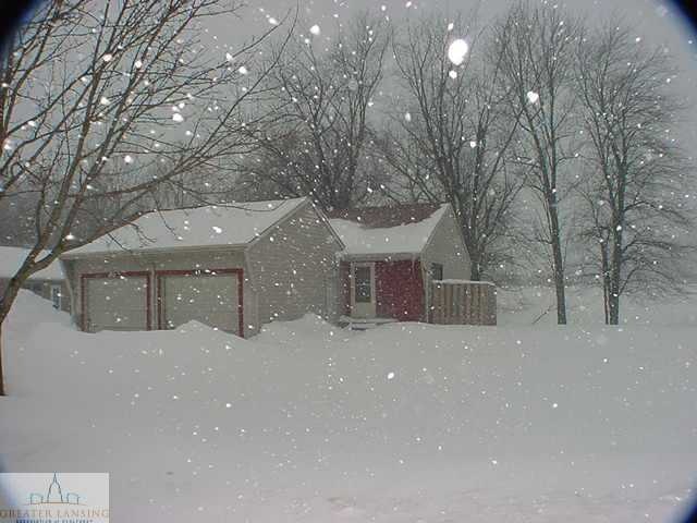 5630 Wise Rd, Lansing, MI 48911 - photo 1