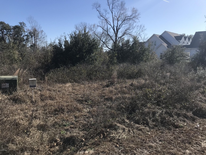 206 Royal Palms Way, Holly Ridge, NC 28445 - photo 1