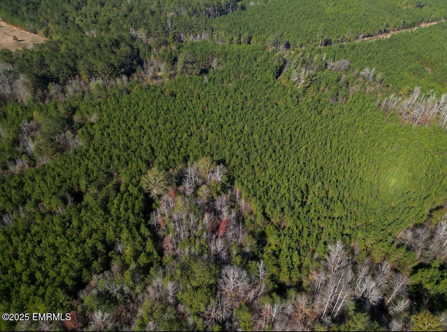 000 Suqualena Meehan Rd S, Meridian, MS 39307 - photo 1