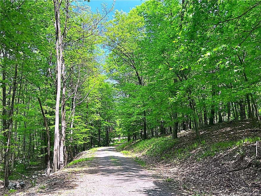 0 Judson Rd unit ONEH6250356, Crawford, NY 12549 - photo 1